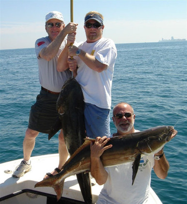 Cobia_photo_2_exp