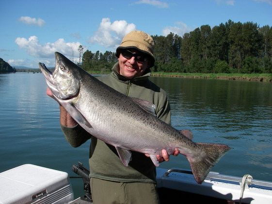 Vedderkingsalmon2