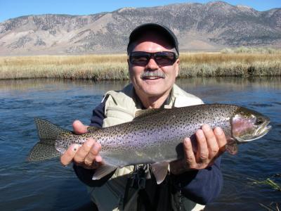 Tom Loe, Sierra Drifters Guide Service<br><br>760-935-4250<br><br>Cell 760-937-2015<br><br>Email driftfish@qnet.com<br><br>www.sierradrifters.com<br><br>