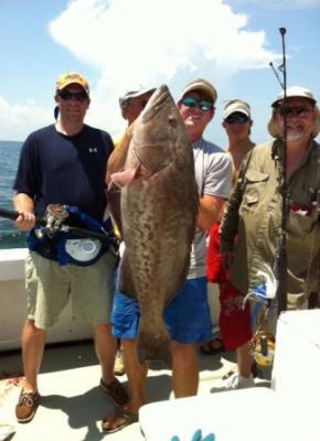 C-Rose Charters<br>www.crosecharters.com <br>