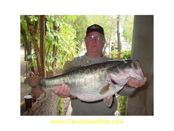 Nice Bass