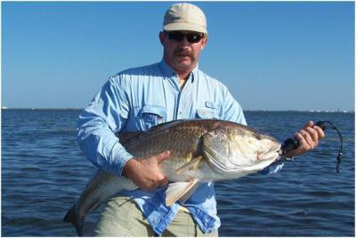 Redfish Release <br><br>Captain Tom Van Horn<br>Mosquito Coast fishing Charters<br>(407) 416-1187 on the water<br>http://www.irl-fishing.com<br><br>