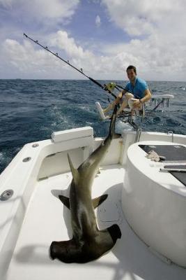 MARK THE SHARK<br>Founder Monster Fishing Inc.<br>Office: Biscayne Bay Marriott Marina<br>1635 North Bayshore Drive<br>Miami, FL 33132 USA<br>Phone: 305-759-JAWS (5297) or 305-542-FISH (3474)<br>Fax: 786-513-2682 or 305-377-1016 dockmaster office<br> Www.marktheshark.com<br>