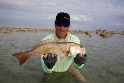 Capt. Rick Stanczyk<br>305-747-6903<br>rick@seethefloridakeys.net<br>http://www.budnmarys.com<br>
