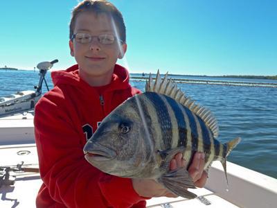 Phone: 239-283-7960 <br> <br>Website:www.fishpineislnd.com <br> <br>E-mail: gcl2fish@live.com <br> <br>"Catch the Action" with Captain Bill Russell<br>