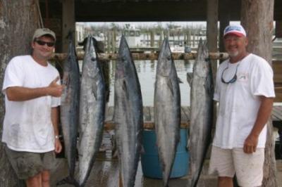 Captain Mike Gray<br>Cajun Odysea <br>captainmike@cajunodysea.com <br> <br>www.cajunodysea.com <br>601-573-3403 <br>