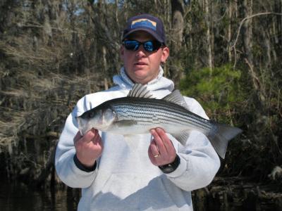 Feb. striper from the Trent River