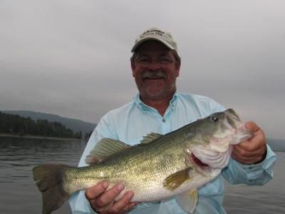 Fish Lake Guntersville Guide Service<br>www.fishlakeguntersvilleguideservice.com<br>Email: bassguide@comcast.net<br>Call: 256 759 2270<br>Captain Mike Gerry