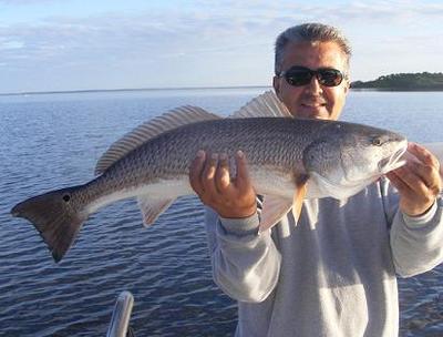 Capt. Michael Savedow <br>Edgewater River Guide, Inc. <br>386-689-3781 <br>EdgewaterRiverGuide@cfl.rr.com <br>http://www.EdgewaterRiverGuide.com<br>