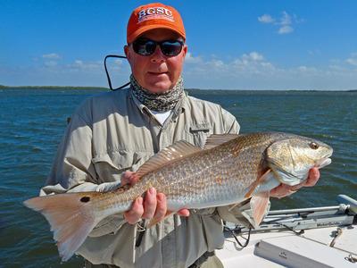 Gulf Coast Limited Fishing Charters <br>gcl2fish@live.com<br>http://www.fishpineisland.com<br>(239)283-7960<br>