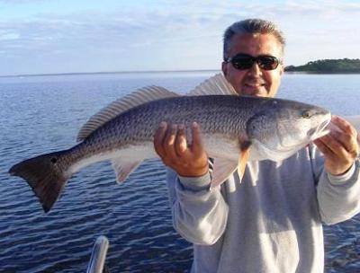 Capt. Michael Savedow<br>Edgewater River Guide, Inc. <br>386-689-3781<br>email> EdgewaterRiverGuide@cfl.rr.com<br>website> http://www.EdgewaterRiverGuide.com<br>