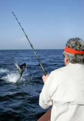 Charter Service Name: Top Shot Fishing<br>Email Guide or Angler: admin@topshotfishing.com<br>Website URL: http://www.topshotfishing.com/<br>Captain: Dave Zsak<br>Region You Fish: Offshore Fort Lauderdale Waters<br>Biz Phone: 1-954-439-8106<br>