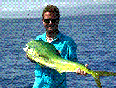 Baja on the Fly<br>Phone#: - 800 919-2252 <br>Email: - bajafly@bajafly.com <br>www.bajafly.com <br>
