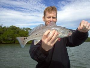 redfish-Estero Bay, SW FL