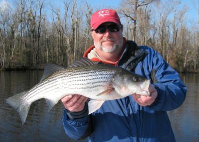 Captain Gary Dubiel<br>252-249-1520<br>Spec Fever Guide Service <br>www.specfever.com<br>captgary@specfever.com<br><br>