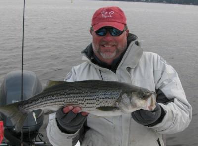 Capt. Gary witha nice New Bern striped bass