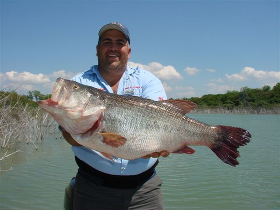 Big Bass