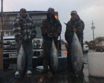 Good Times Sportfishing <br>andy@goodtimessportfishing.com <br>www.goodtimessportfishing.com 