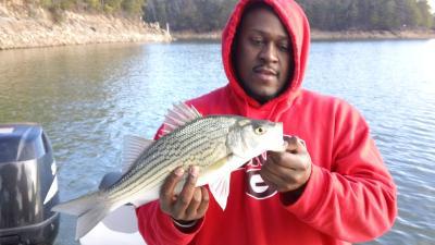 FIRST BITE GUIDE SERVICE.<br>www.firstbiteguideservice.com<br>Striped and Hybrid Bass.<br>770 827-6282<br> <br>