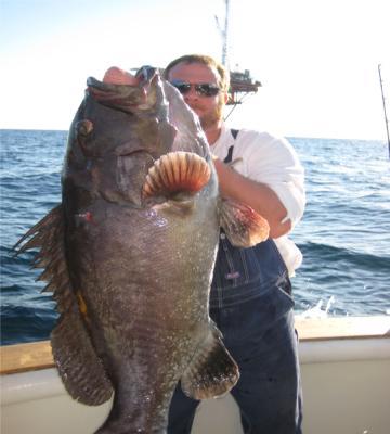 Capt Josh Howard <br>225-572-7408 <br>deepsouthcharters@cox.net<br>www.deepsouthcharters.com<br>Deep South Charters <br> <br>