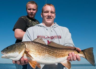 Phone: 239-283-7960 <br> <br>Website:www.fishpineislnd.com <br> <br>E-mail: gcl2fish@live.com <br> <br>"Catch the Action" with Captain Bill Russell<br>