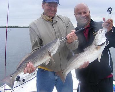 Capt. Michael Savedow <br>Edgewater River Guide, Inc. <br>386-689-3781 <br>EdgewaterRiverGuide@cfl.rr.com <br>http://www.EdgewaterRiverGuide.com<br>