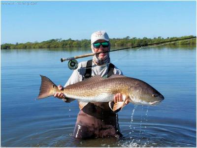 Captain Tom Van Horn<br>Mosquito Coast Fishing Charters<br>www.irl-fishing.com <br>407-416-1187 on the water<br>407-366-8085 office<br>