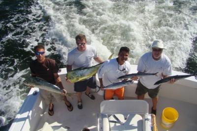 Taco Hooked Up Sportsfishing <br>(954) 764-4344 or toll free (877) SEA-4344<br>http://www.tacohookedup.com 