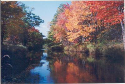 Annapolis River near Middleton, Nova Scotia