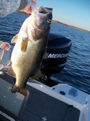 Tony Clark Lake Fork Guide Service<br>tonyclark1963@yahoo.com <br>903-473-3956 <br>www.ets-systems.com/tonyclark/