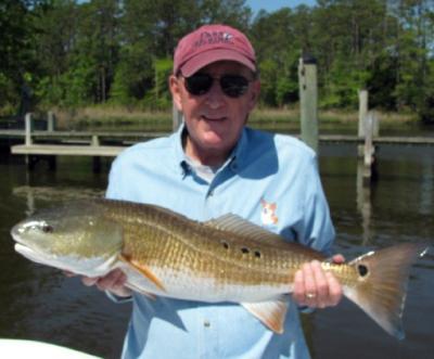 An over the slot redfish caught near Oriental off the Lower Neuse River