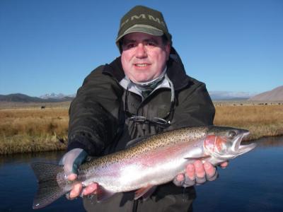 Tom Loe, Sierra Drifters Guide Service<br><br>760-935-4250<br><br>Cell 760-937-2015<br><br>Email driftfish@qnet.com<br><br>www.sierradrifters.com<br><br>