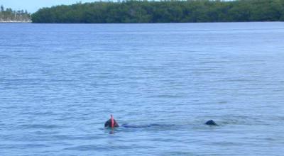 Snorkelling