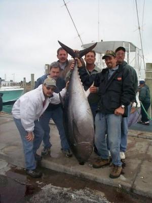 Godspeed Charters<br>www.godspeedcharters.com 