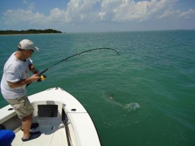 4/3/11 Great islamorada tarpon fishing with Greg Olsen and family! <br>