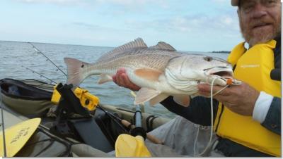 Capt. Butch Rickey/BarHopp'R Guide Service<br>Phone#: - 239-633-5851 <br>Email: - capt@barhoppr.com <br>www.barhoppr.com