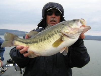 Fish Lake Guntersville Guide Service<br>www.fishlakeguntersvilleguideservice.com<br>Email: bassguide@comcast.net<br>Call: 256 759 2270<br>Captain Mike Gerry<br><br>