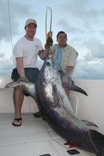 Capt. Dean Panos<br>Double D Charters<br>doubledcharters@earthlink.net<br>http://www.doubledcharters.com/<br>954-805-8231<br>