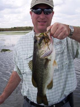 Florida Bass Fishing Guides<br> tim@bassfishingfl.com<br>http://www.Bassfishingfl.com<br>321-303-9207