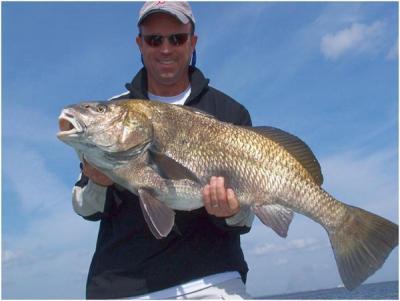 Captain Tom Van Horn<br>Mosquito Coast Fishing Charters<br>www.irl-fishing.com <br>407-416-1187 on the water<br>407-366-8085 office<br><br>Visit www.mosquitocreekoutdoors.com for your outdoor adventure needs, its Where the Adventure Begins! <br> <br>