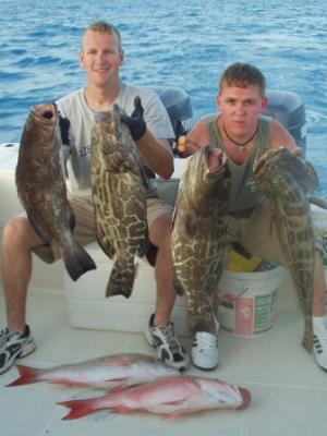 Nice grouper