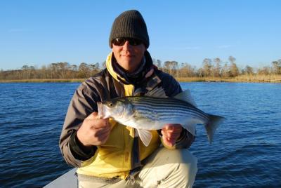Robinson Brothers Guide Service<br>Fly Fishing and Light Tackle<br>118 Commerce St.<br>Apalachicola, FL 32320<br>(850) 653-8896<br>robinson@floridaredfish.com<br>www.floridaredfish.com