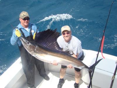 Wow!! What a sailfish caught with Taco Hooked Up Sportsfishing 