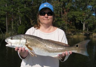 Capt. Gary Dubiel<br>Spec Fever Guide Service <br>www.specfever.com <br> 252-249-1520 <br>captgary@specfever.com<br>