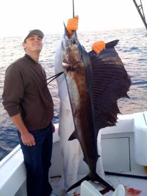 After a good 20 Min Mark got this monster sailfish to the boat.<br>December 19th, 2010 <br><br>Taco Hooked Up Sportsfishing <br>Captain Taco (954) 764-4344 or toll free @ (877) SEA-4344<br>tacohookedup@aol.com <br>www.tacohookedup.com <br> 