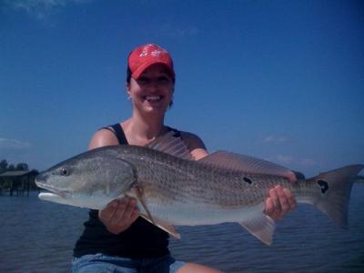 Native Sons Fishing Guides <br>www.nativesonsfishing.com <br>rvanhoose@cfl.rr.com 