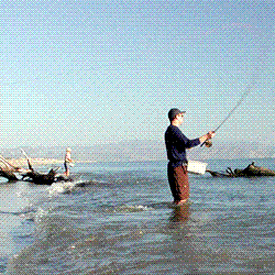 Baja on the Fly <br>Phone#: - 760-522-3710 <br>Email: - bajafly@bajafly.com <br>www.bajafly.com