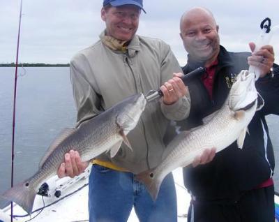 Capt. Michael Savedow<br>Edgewater River Guide, Inc. <br>386-689-3781<br>email> EdgewaterRiverGuide@cfl.rr.com<br>website> http://www.EdgewaterRiverGuide.com<br>