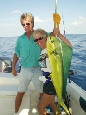 Mahi-Mahi (Dolphin)