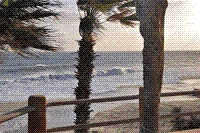 Baja on the Fly <br>www.bajafly.com <br>bajafly@bajafly.com